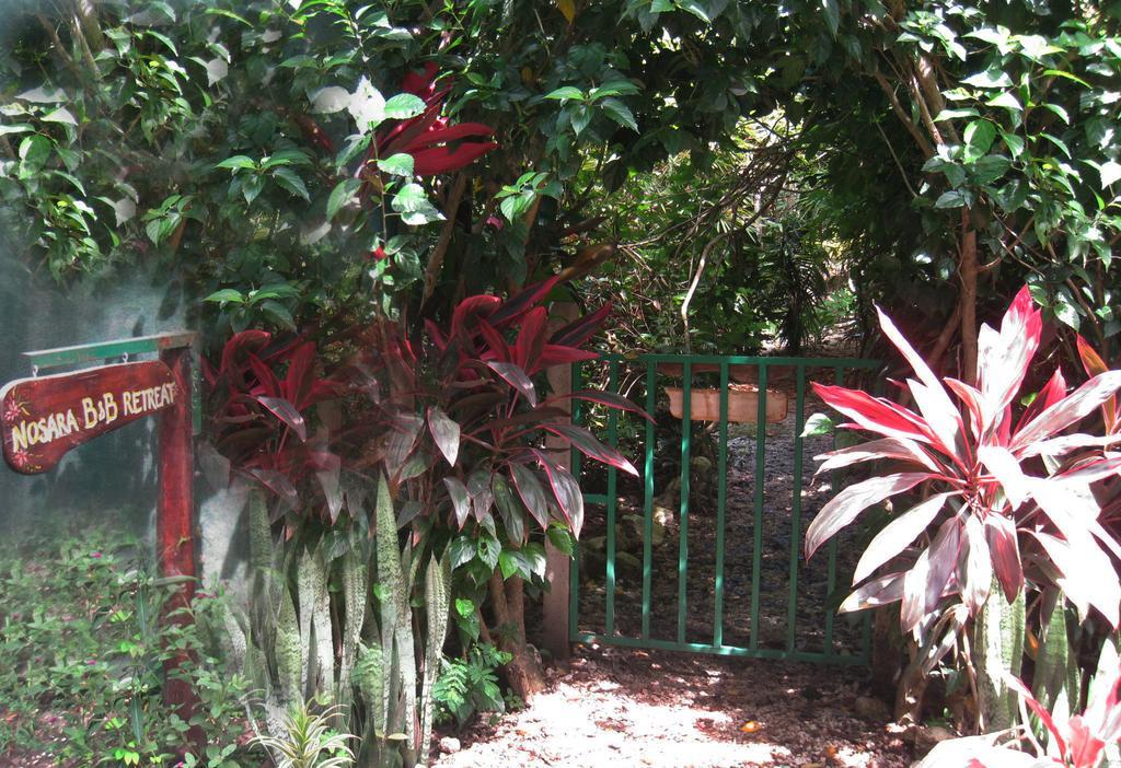 Nosara B&B Retreat Exterior foto